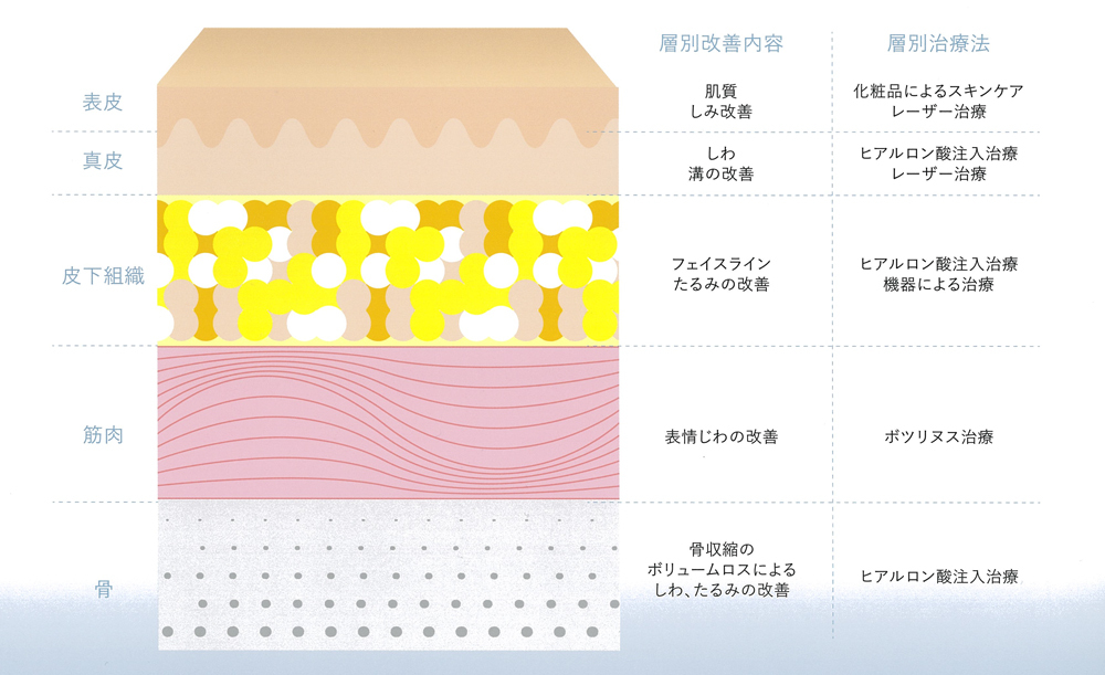 顔の層に応じた治療の組み合わせ